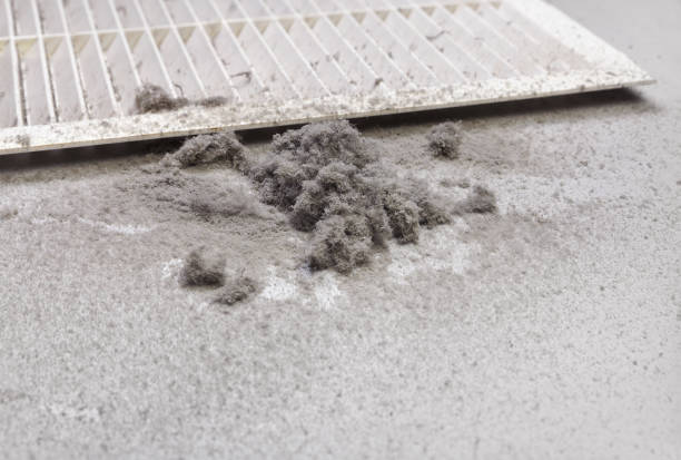 Affordable HVAC Duct Cleaning in Ravenswood, WV